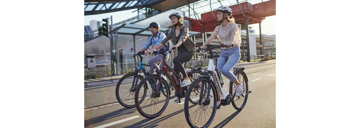 Hvad er et elcykelbatteri?