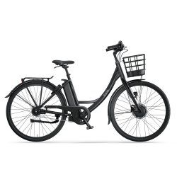 Ecoride Ambassador 3 
