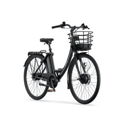 Ecoride Ambassador 3 