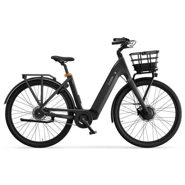 Ecoride Ambassador 4 Disc