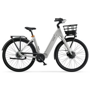 Ecoride Ambassador 4 Disc