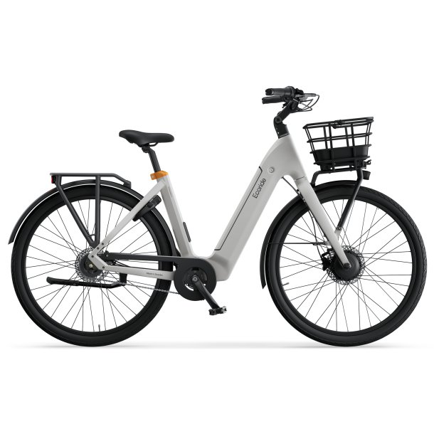 Ecoride Ambassador 4 Disc