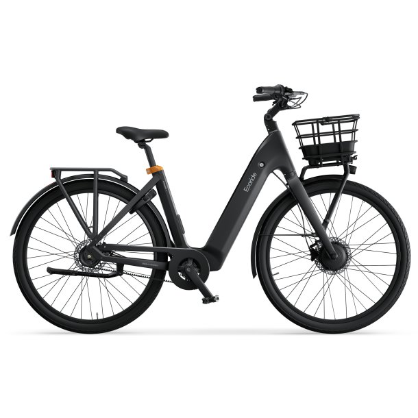 Ecoride Ambassador 4 Belt &amp; Disc