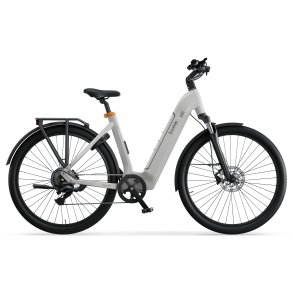 Ecoride Tripper 4 Low Step