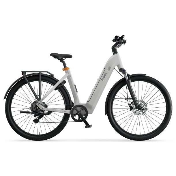 Ecoride Tripper 4 Low Step