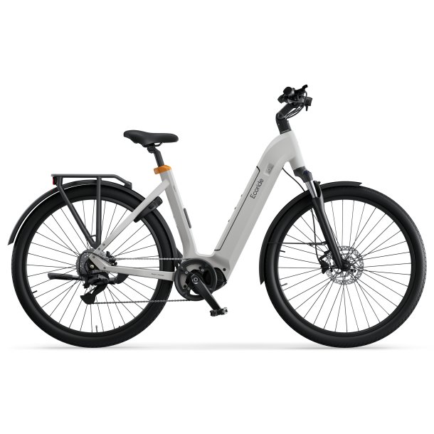 Ecoride Tripper 4 Mid Low Step