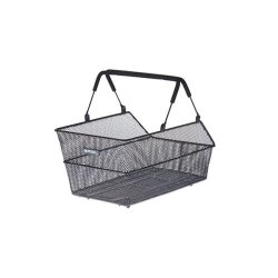 Basil  Cento S