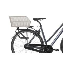 Basil Cento L