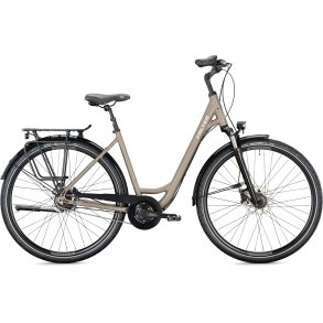 Falter C 5.0 Wave 2025