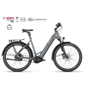 Falter E 9.8 FL Plus 750 2025