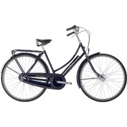 Raleigh Tourist De Luxe 3g 