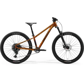 Merida Matts J. Champion 