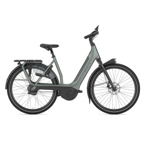 Gazelle Avignon C380+ Dame twilight green mat