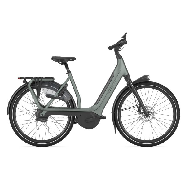 Gazelle Avignon C380+ Dame twilight green mat