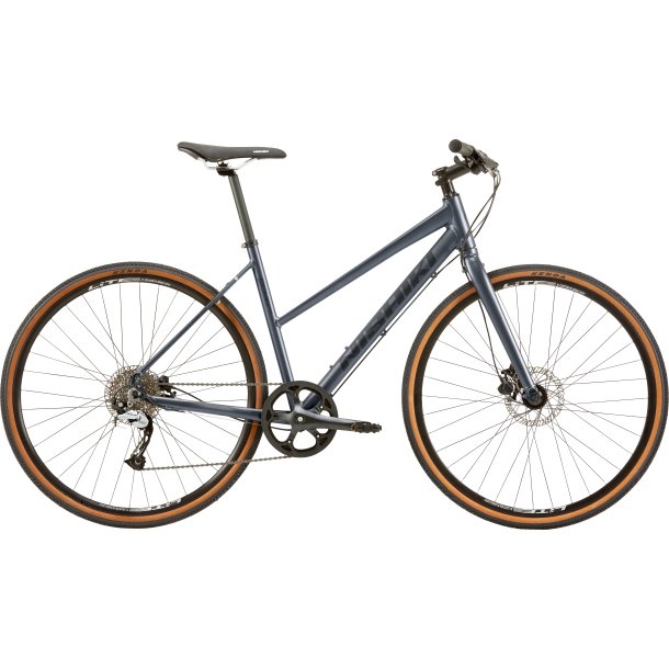 Nishiki Comp Nine  21"