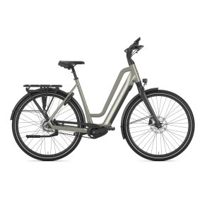 Gazelle Chamonix C5 Dame clay green blank