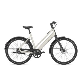 Gazelle Curb C1 Dame ivory white blank