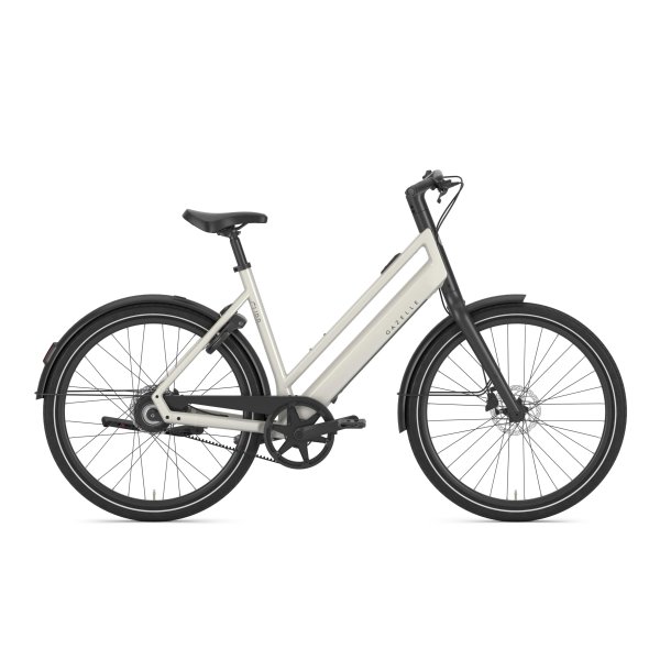 Gazelle Curb C1 Dame ivory white blank