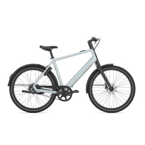 Gazelle Curb C1 Herre platinum white blank