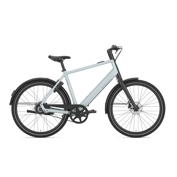 Gazelle Curb C1 Herre platinum white blank