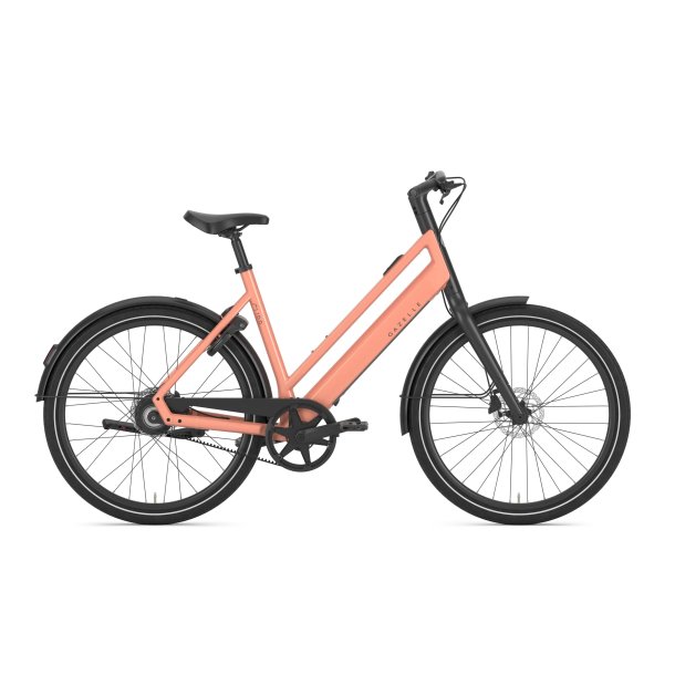 Gazelle Curb C1 Dame soft peach blank