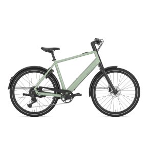 Gazelle Curb T9 Herre pistache green blank