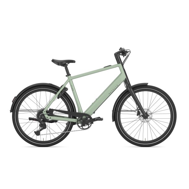 Gazelle Curb T9 Herre pistache green blank