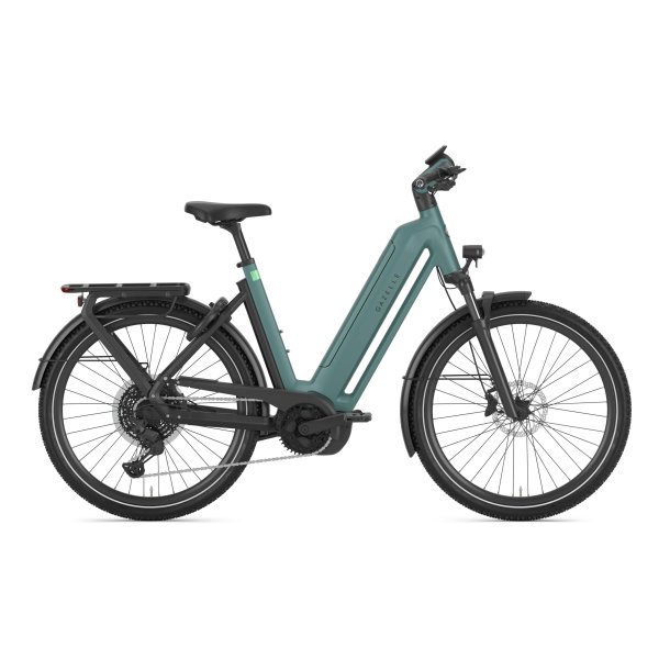 Gazelle Eclipse T11 Dame thyme green mat
