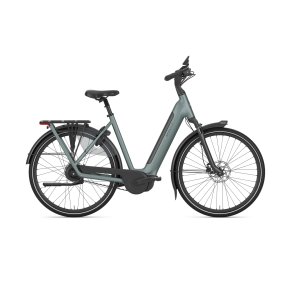 Gazelle Grenoble C310 Dame dew green mat