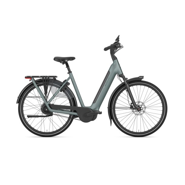 Gazelle Grenoble C310 Dame dew green mat
