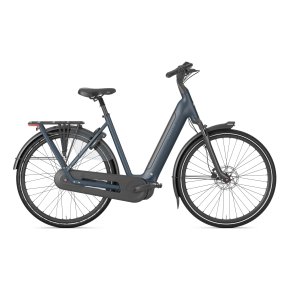 Gazelle Grenoble C8 Dame between blue mat