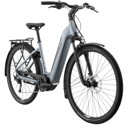 BESV TR 1.2 Low Step