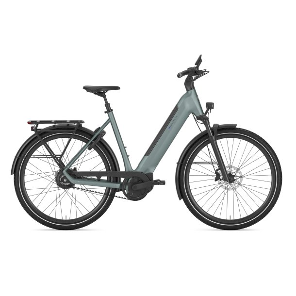 Gazelle Ultimate C380 Dame dew green mat