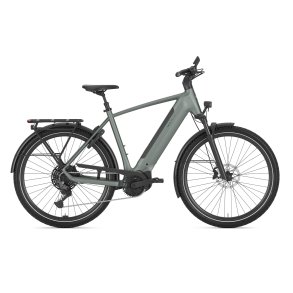 Gazelle Ultimate T11 Herre twilight green mat