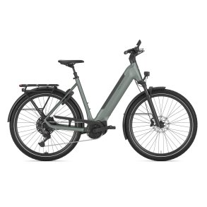 Gazelle Ultimate T11 Dame twilight green mat