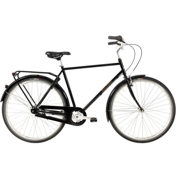 Raleigh Darlington 3gear