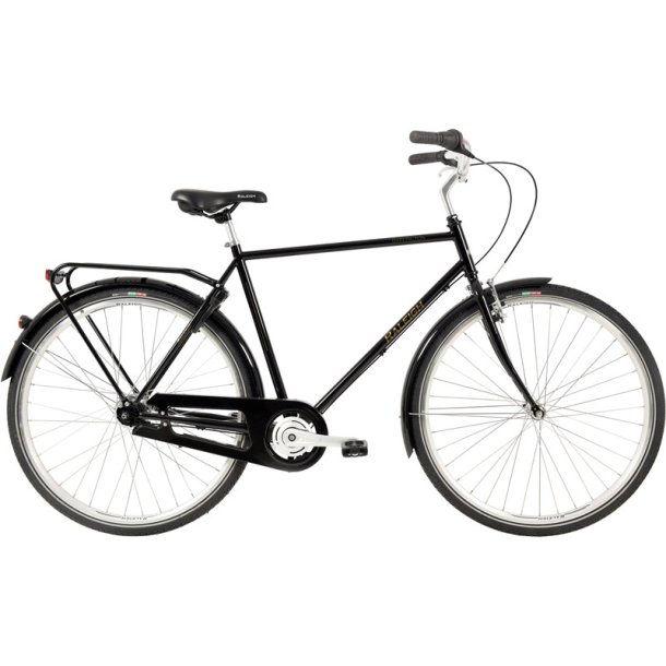 Raleigh Darlington 7gear